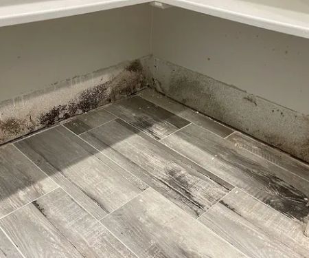 CDG Restoration & Construction