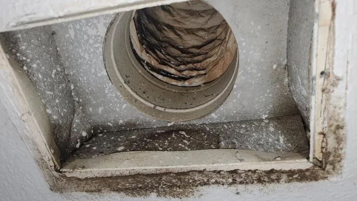 Odor Masters Picture 9