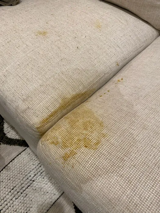 Odor Masters Picture 8