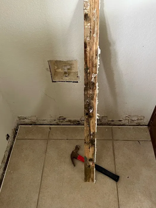 Catstrong Mold Picture 1