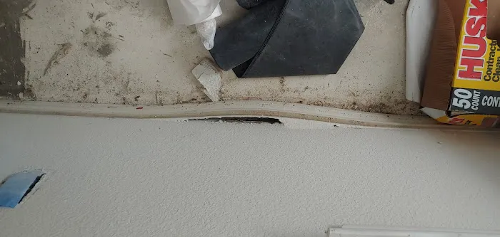 Catstrong Mold Picture 2