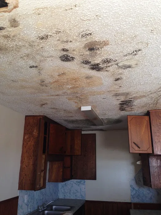 Catstrong Mold Picture 7