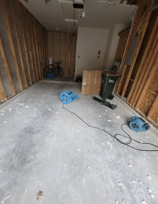 Restoration Royale Picture 6