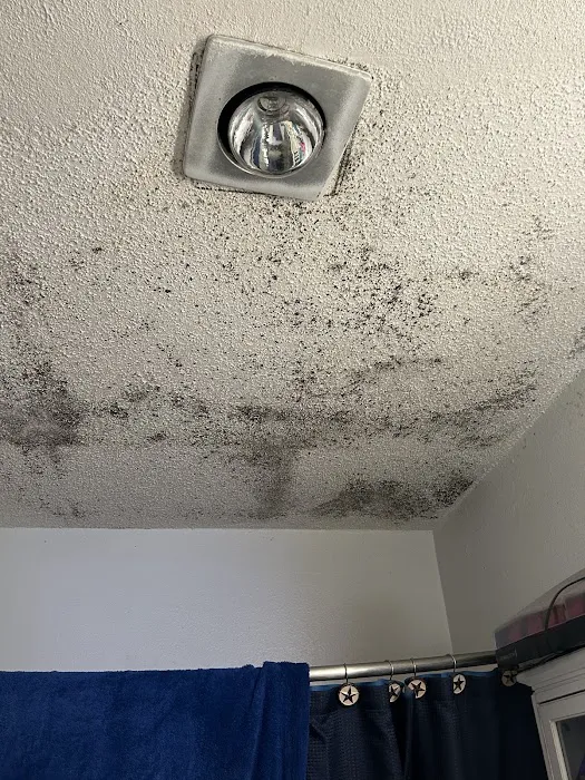 Restoration Royale Picture 3