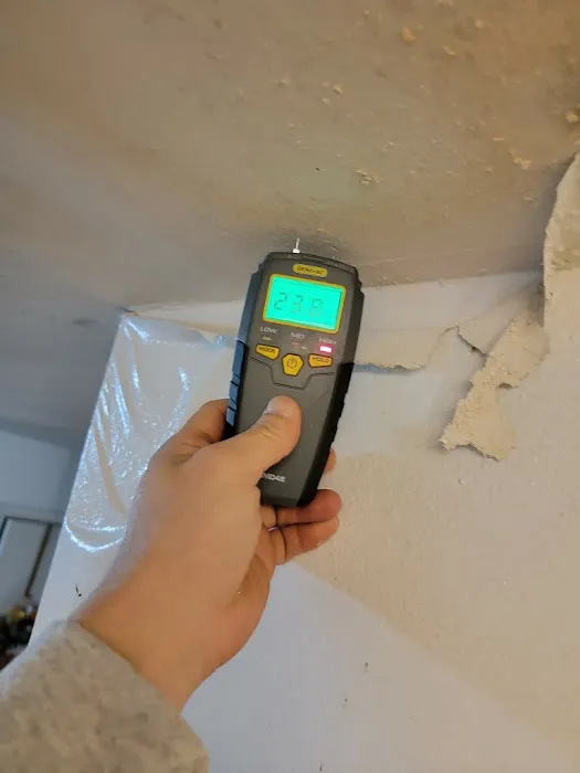 Restoration Royale Picture 8