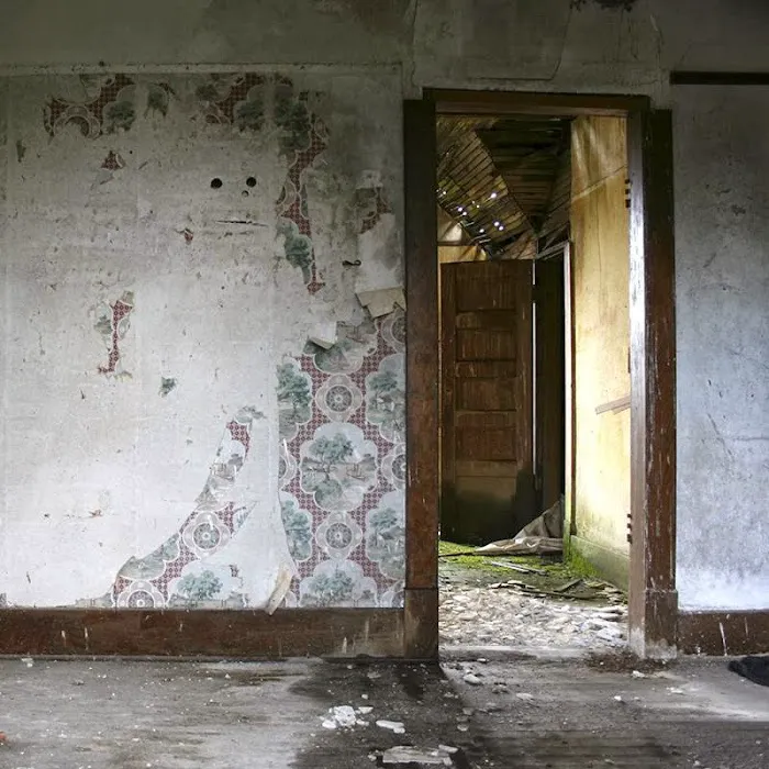 Rainbow International of Greater Austin Picture 6