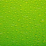 SERVPRO of Southeast Austin