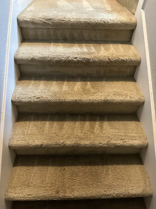 Steam Master Cleaning and Restoration Picture 3