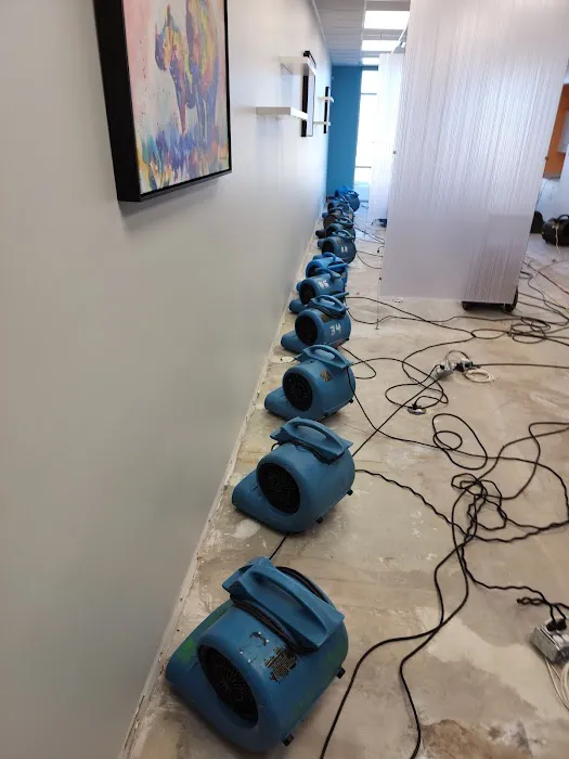 Chrome Water Damage Experts Picture 5