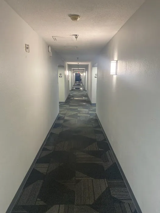 Austin Water Damage Picture 1