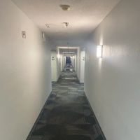 Austin Water Damage ico