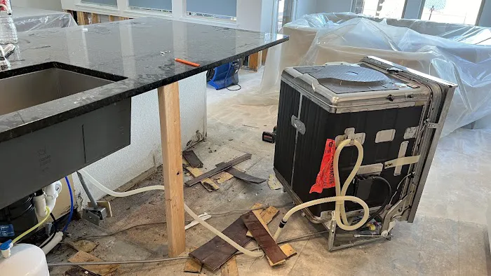 Austin Fire and Flood Picture 2