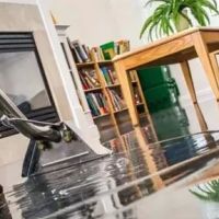 Baubau Remediation ico