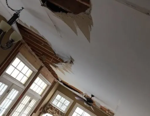 Baubau Remediation Picture 3