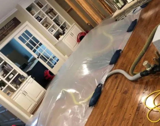 Baubau Remediation Picture 2