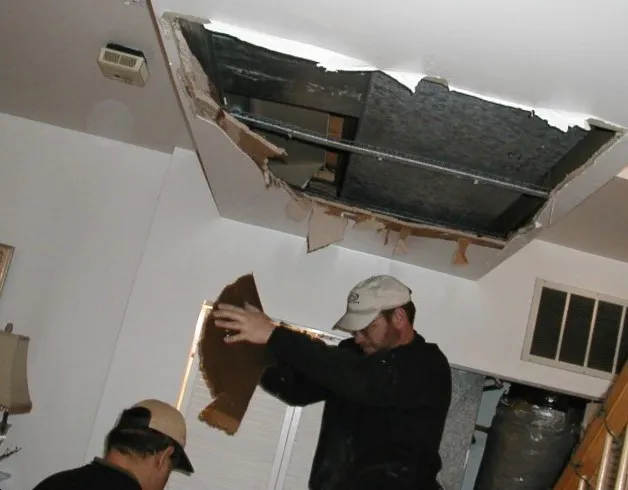 Baubau Remediation Picture 6