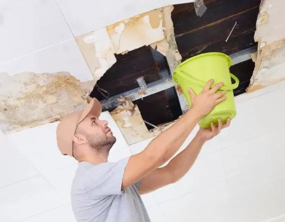 Baubau Remediation Picture 5