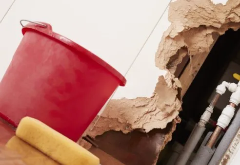 Baubau Remediation Picture 7