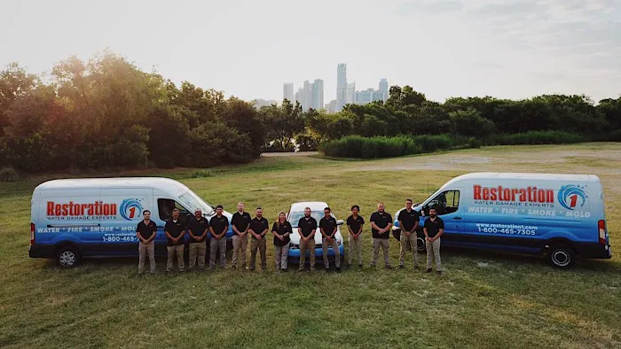 Restoration 1 of Austin Picture 2