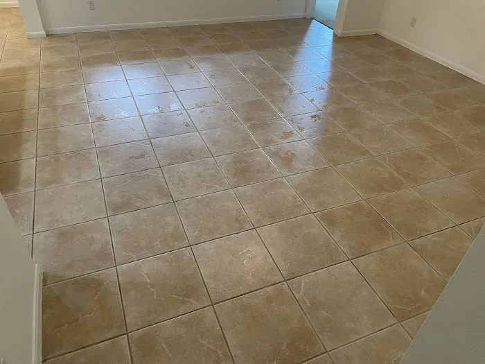 RJH and Sons Steam Cleaning Picture 1