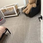 Steam Master Cleaning and Restoration