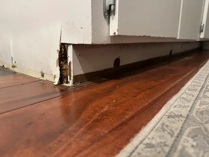 Flood Restoration Services Picture 4