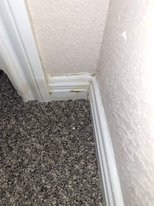 Flood Restoration Services Picture 10