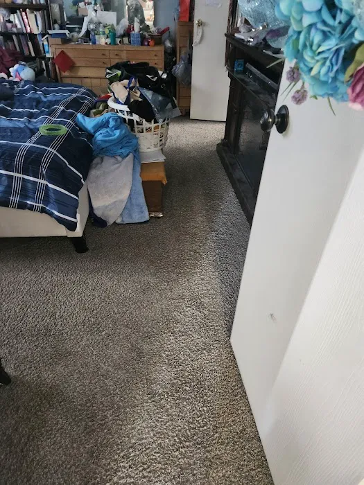 Stanley Steemer Picture 2