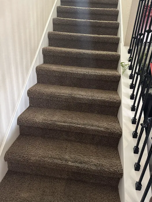 Stanley Steemer Picture 6