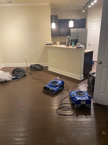 Paul Davis Restoration of North and South Austin Picture 3