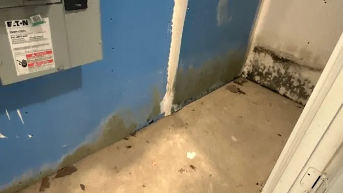 PuroClean of Northwest Austin Picture 4