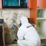 BELFOR Property Restoration