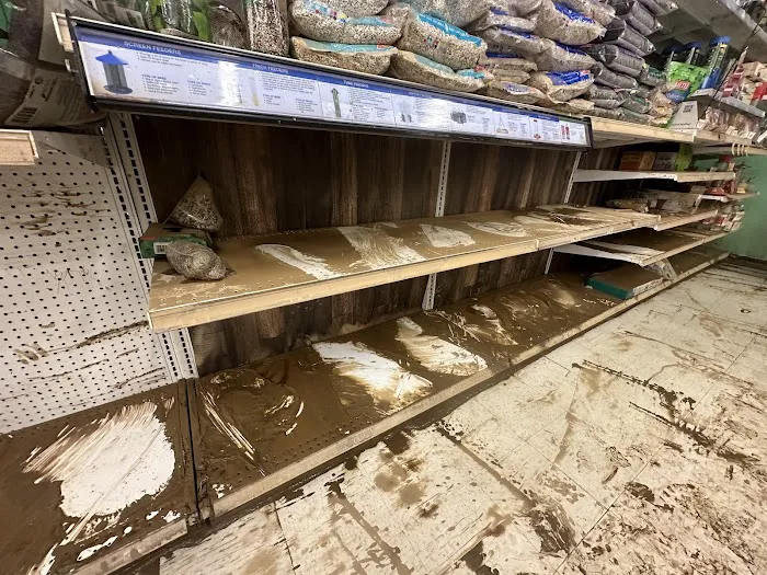 All Ways Restoration & Construction Picture 7