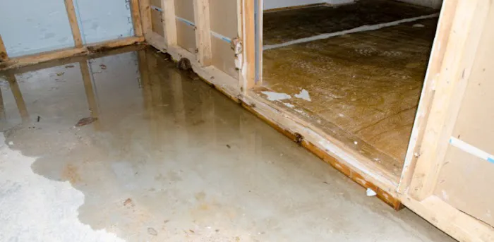 All Star Tx Services Picture 9