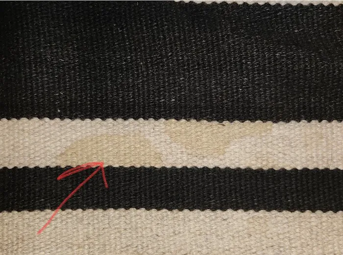 Kiwi Services Picture 1