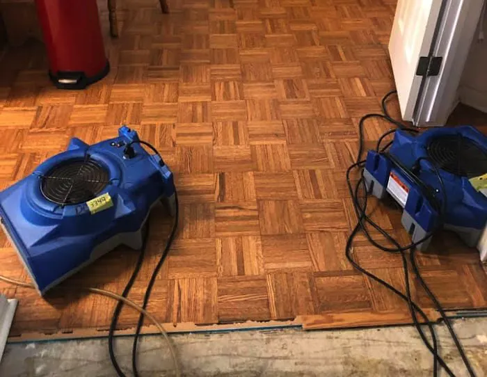 DynaClean Professional Services Picture 2