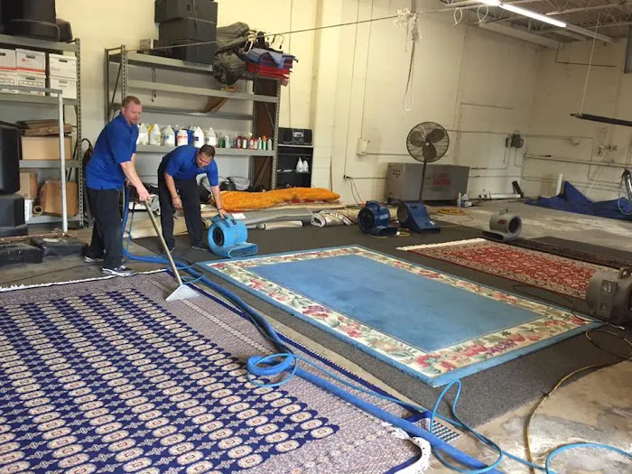 DynaClean Professional Services Picture 3