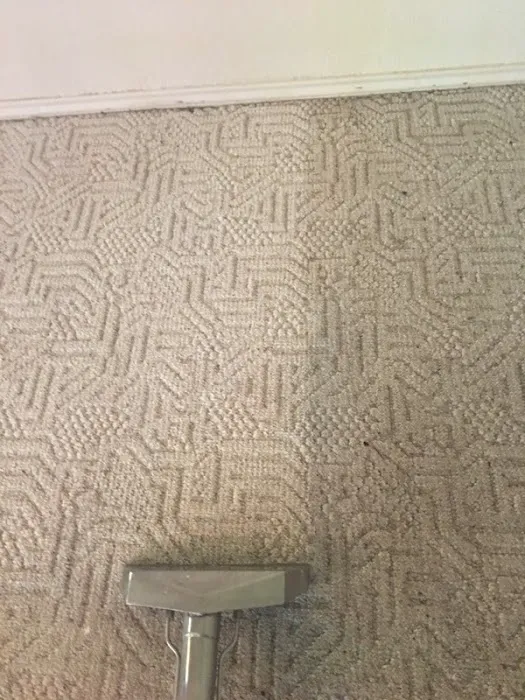 SERVPRO The Hill Country Picture 5