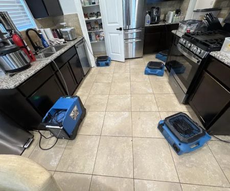 RestoPros of NE Austin