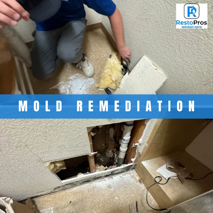 RestoPros of NE Austin Picture 3