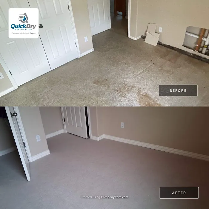 Quick Dry Restoration Picture 1