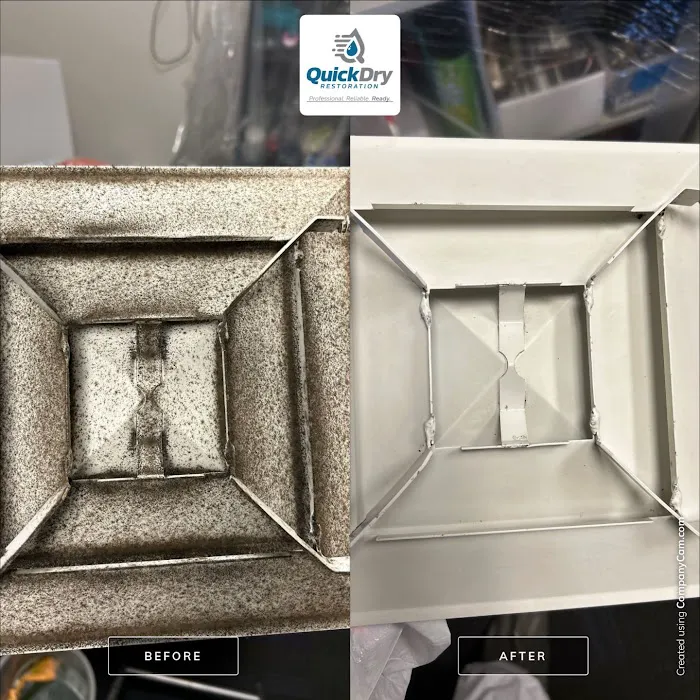 Quick Dry Restoration Picture 2