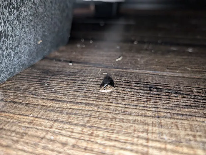 Specialty Restoration of Texas Picture 2