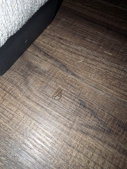 Specialty Restoration of Texas Picture 4