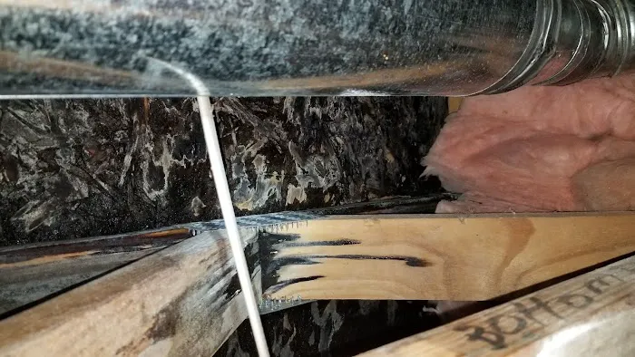 Capital Area Restoration Services Picture 9