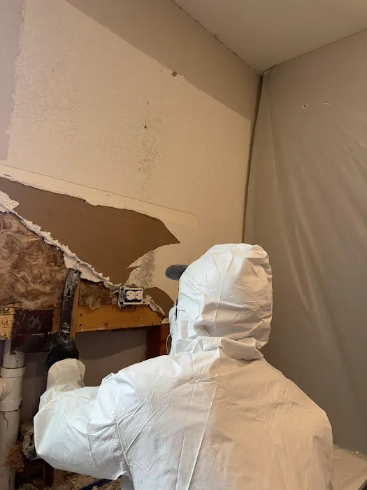 PuroClean of Hutto & Manor Picture 3