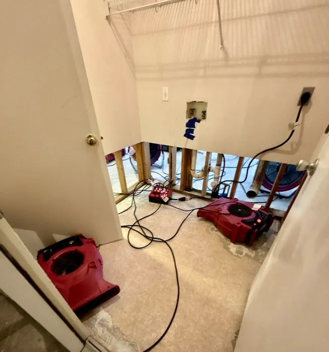 PuroClean of Hutto & Manor Picture 9