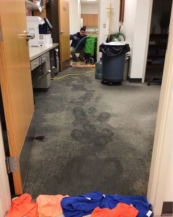 SERVPRO of Georgetown, Florence, Sun City Picture 9