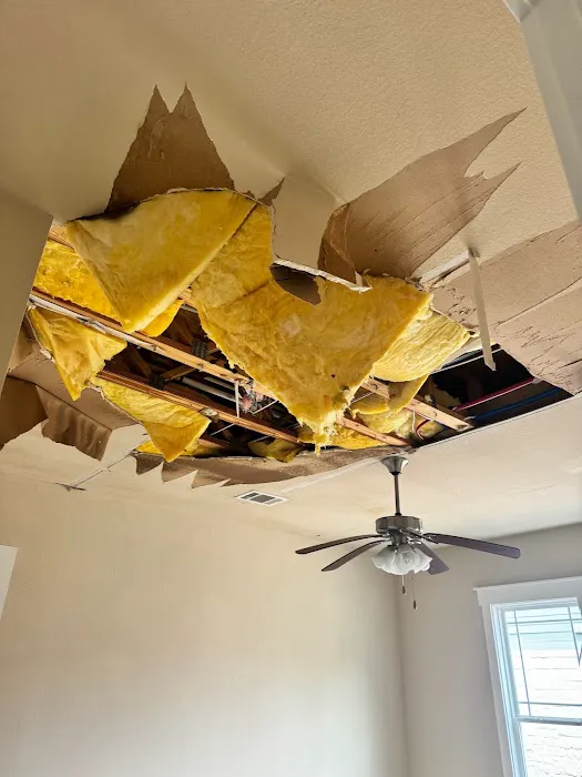 Elements Of Restoration Picture 2