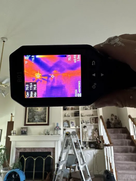 Elements Of Restoration Picture 6